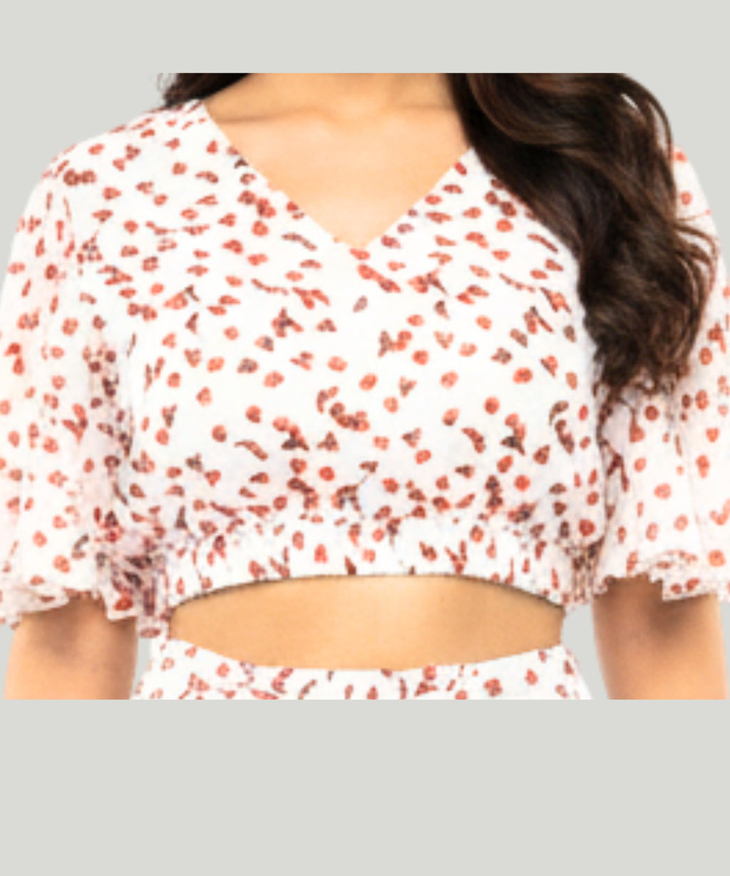 Viigobella Printed Georgette Crop Top & Palazzo Co-Ord Set